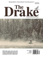 The Drake